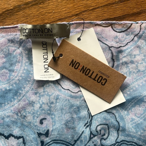 Paisley Patterned Blue and Pink Scarf - Picture 4 of 5